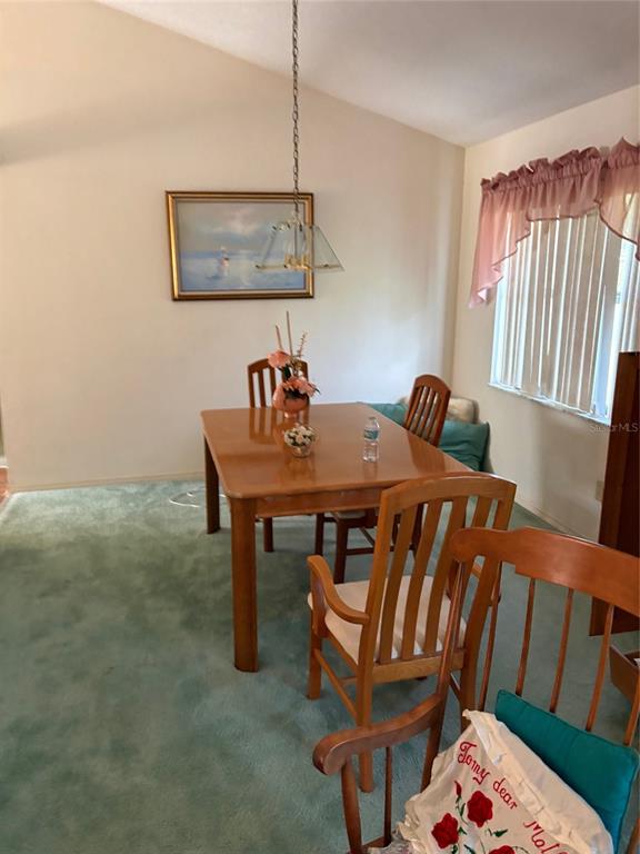A dining room features a wooden table, chairs, green carpeting, and a hanging light fixture — 222 MEADOW LAKE DRIVE, EDGEWATER, FL