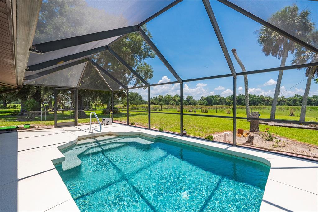 A screened-in swimming pool patio overlooks a grassy field with palm trees — 12241 SW GORDON HAY ROAD, ARCADIA, FL