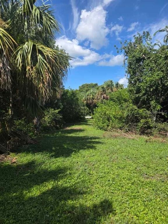 A grassy, narrow path leads through dense tropical vegetation under a bright blue sky — 16980 SW CONNERS HIGHWAY, CANAL POINT, FL