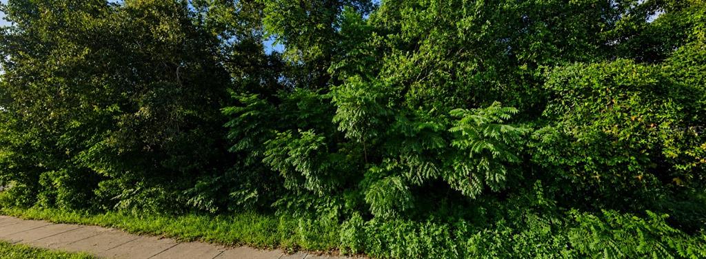 A sidewalk runs alongside a dense, overgrown area of trees and shrubs — SPRING HILL DR DRIVE, SPRING HILL, FL