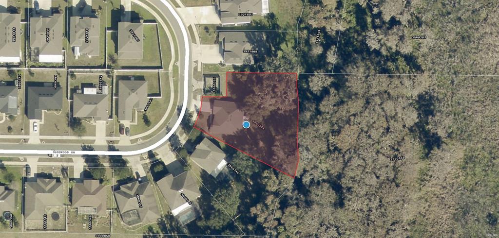 This is an aerial map view showing a residential property highlighted in red — 7830 SLOEWOOD DRIVE, LEESBURG, FL