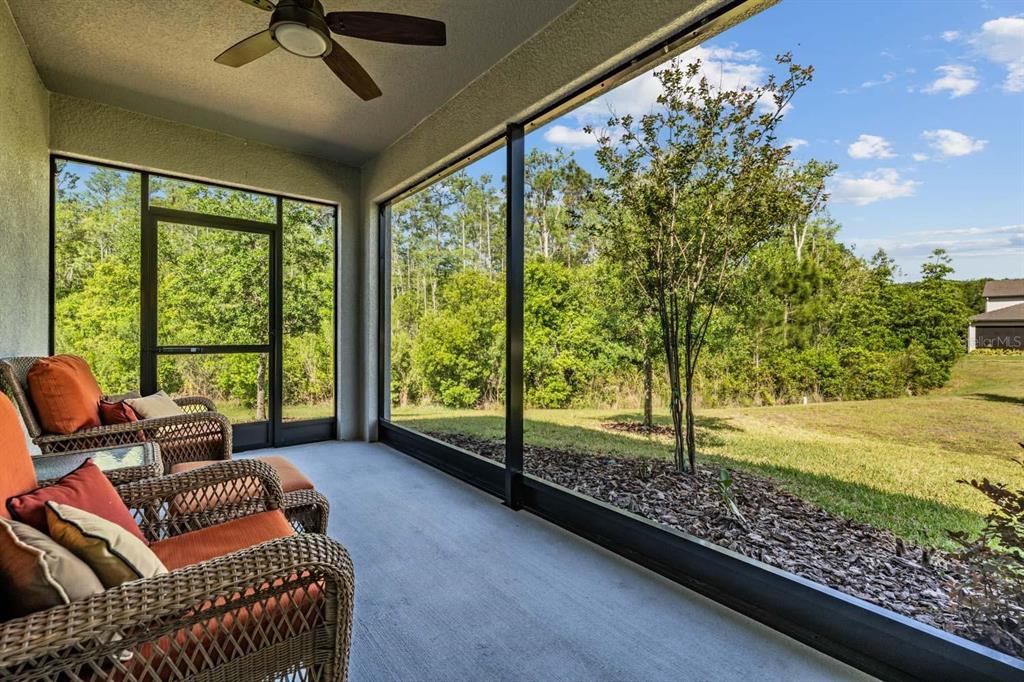 A screened-in porch with wicker chairs overlooks a grassy backyard and a line of trees — 16595 SHELL BAY DRIVE, LAND O LAKES, FL