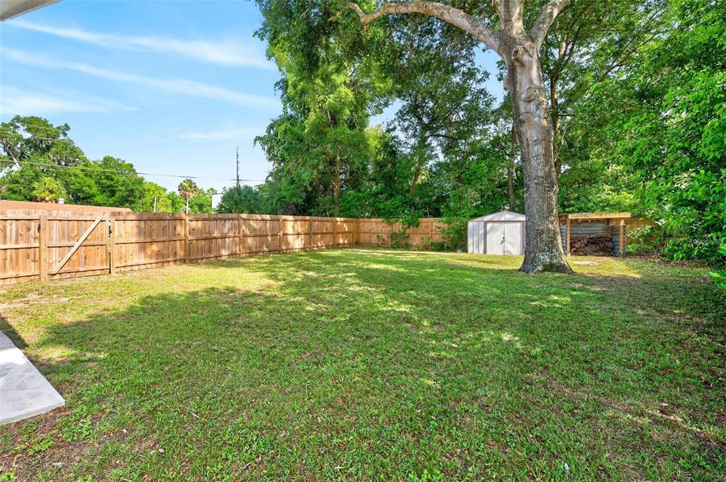 A grassy backyard features a wooden fence, a large tree, and a small storage shed — 1125 N TREMAIN STREET, MOUNT DORA, FL