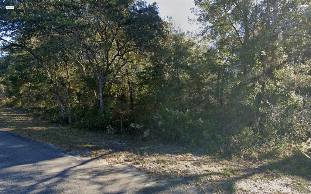 A wooded, undeveloped residential lot sits adjacent to a paved road — FISHER LANE PLACE, OCKLAWAHA, FL