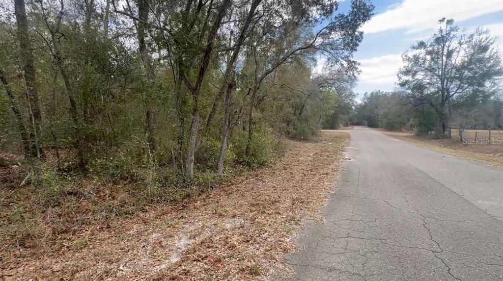 A paved road runs alongside a wooded lot with scattered dry leaves — FISHER LANE PLACE, OCKLAWAHA, FL