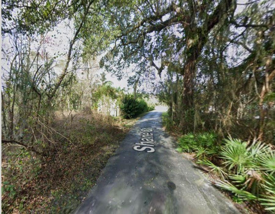 A paved driveway leads through a wooded area with large trees and dense vegetation — SHANE COURT, ST AUGUSTINE, FL