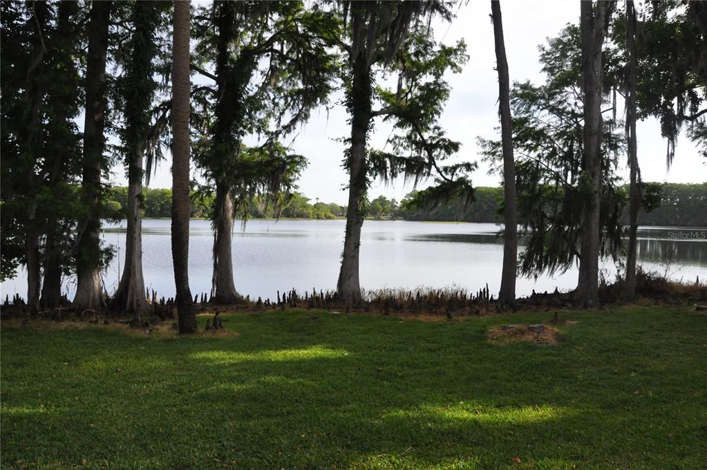 A grassy lawn overlooks a calm lake framed by tall trees with hanging Spanish moss — 507 NORTHLAKE DRIVE UNIT 507, SANFORD, FL