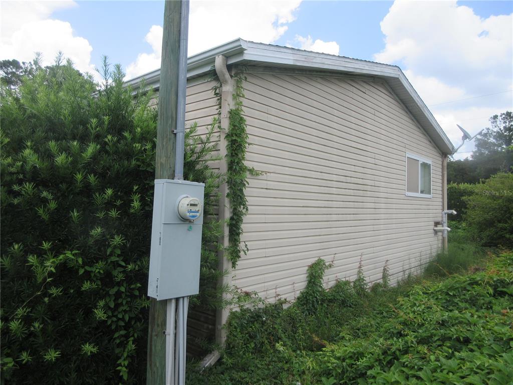 A side view of a house with beige vinyl siding, a utility pole, and overgrown vegetation — 16000 N HWY 329, REDDICK, FL