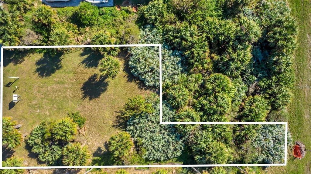 An aerial view shows a grassy lot partially bordered by dense trees and shrubs — 0 S ATLANTIC AVE, NEW SMYRNA BEACH, FL