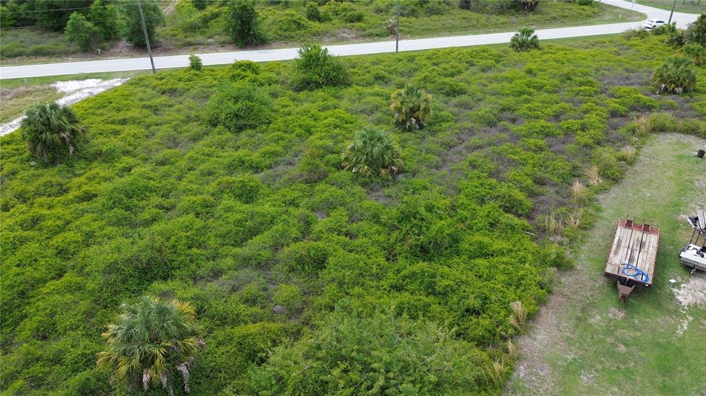 An aerial view shows a vacant, overgrown lot with scattered palm trees and a trailer — 2065 CHAPLIN DRIVE, PUNTA GORDA, FL