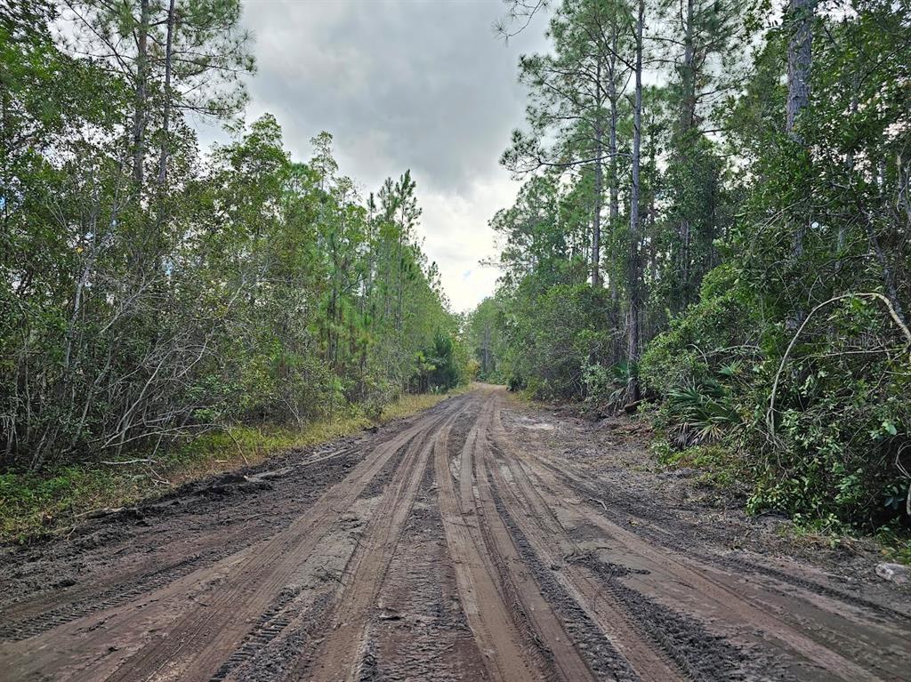 804 SHELL HARBOR ROAD, PIERSON, FL — photo 2 of 30
