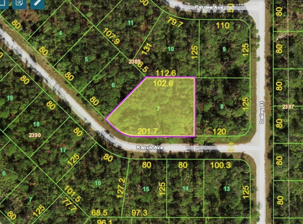 This is a map showing a highlighted parcel of land located at a street intersection — 12550 RANCH AVENUE, PORT CHARLOTTE, FL