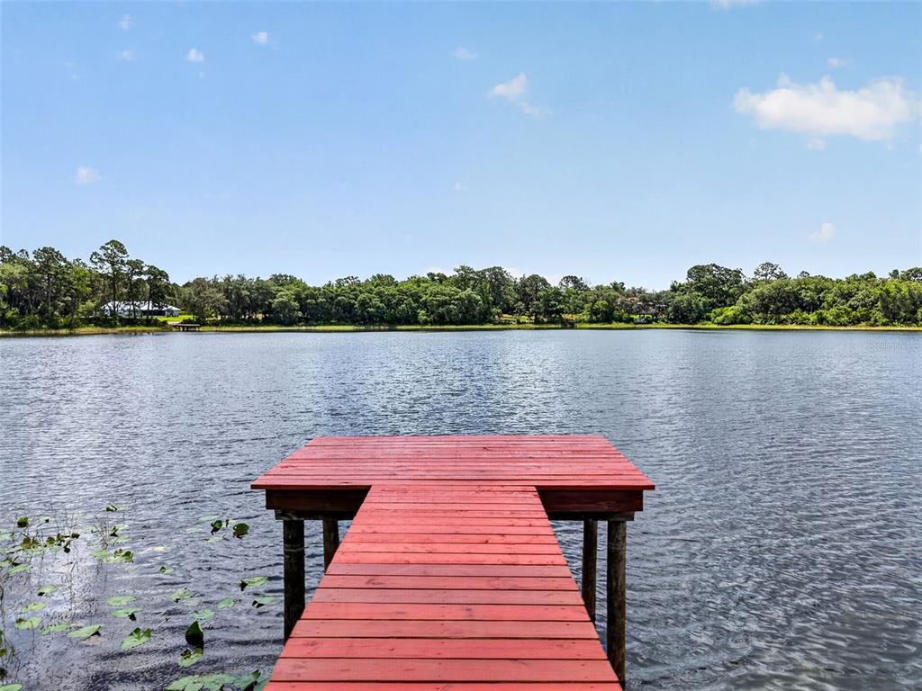 A wooden dock extends into a calm lake surrounded by trees under a blue sky — 493 MALAUKA LOOP, OCKLAWAHA, FL