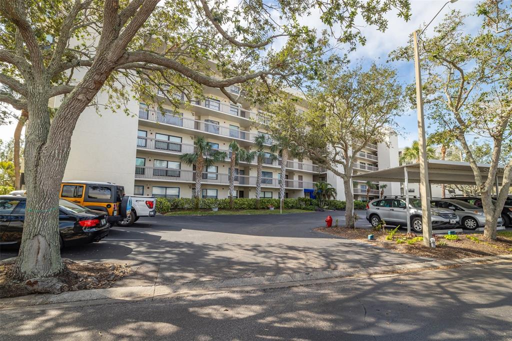 1316 PASADENA AVENUE S UNIT 204