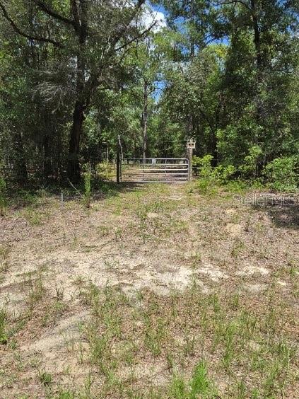 A metal gate stands at the entrance of a dirt path surrounded by dense trees — 8355 N ORTON WAY, DUNNELLON, FL