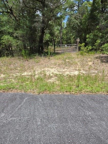 An aerial view shows a wooded lot marked with a red pin — 8355 N ORTON WAY, DUNNELLON, FL