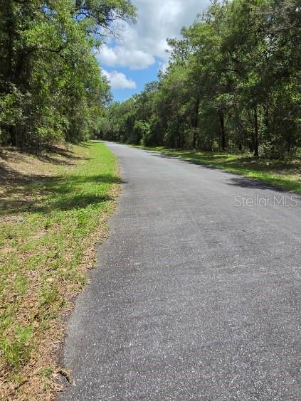 A wooded lot with tall trees and a ground covered in fallen leaves — 8355 N ORTON WAY, DUNNELLON, FL