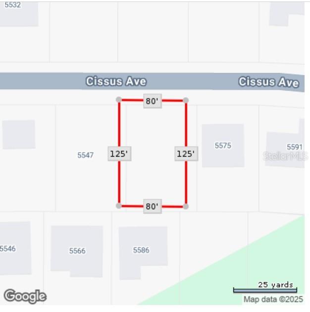 This map shows a rectangular plot of land measuring 80 feet by 125 feet — CISSUS AVENUE, NORTH PORT, FL