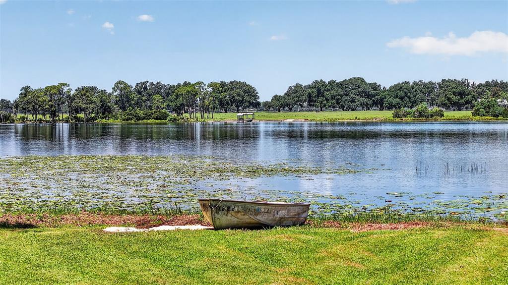 39411 COUNTY ROAD 439, UMATILLA, FL — photo 3 of 30