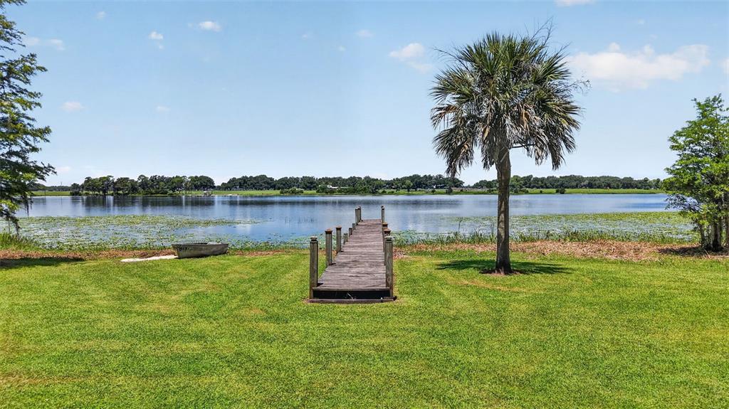 39411 COUNTY ROAD 439, UMATILLA, FL — photo 4 of 30