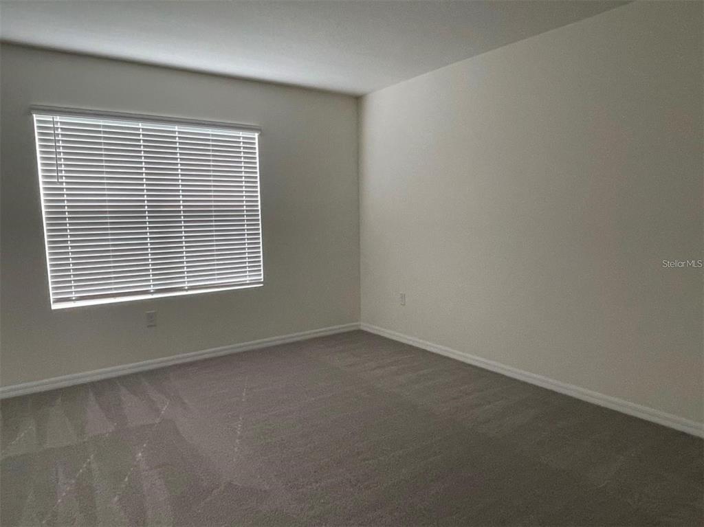 An empty bedroom features beige carpet, white walls, and a window with white blinds — 5526 OXFORD GRAY ROAD, WESLEY CHAPEL, FL