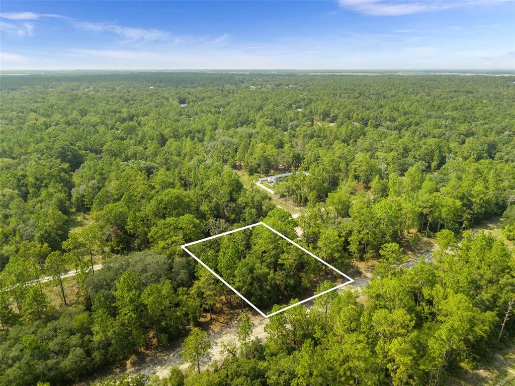 An aerial view shows a rectangular plot of land outlined in white amidst a dense forest — NE 156TH CT, WILLISTON, FL