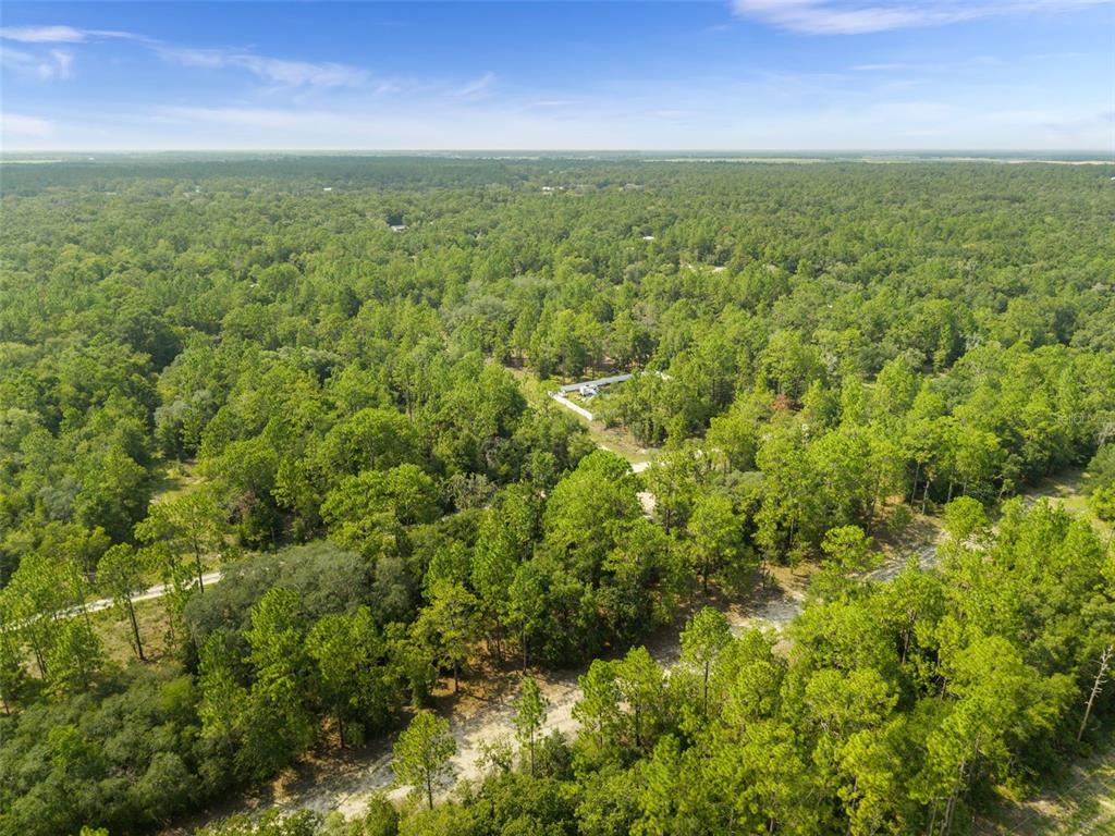 An aerial view shows a dirt road winding through a dense, wooded forest landscape — NE 156TH CT, WILLISTON, FL