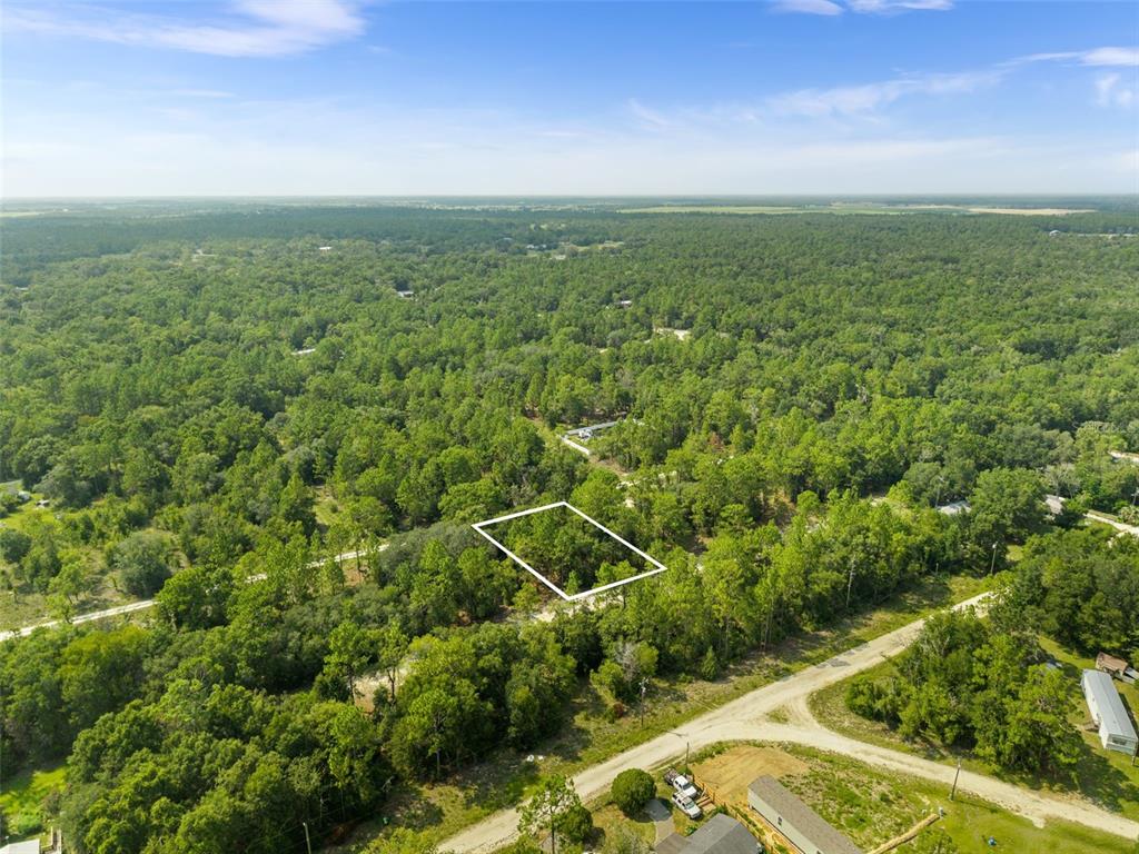 An aerial view shows a rectangular plot of land outlined in white amidst dense forest — NE 156TH CT, WILLISTON, FL