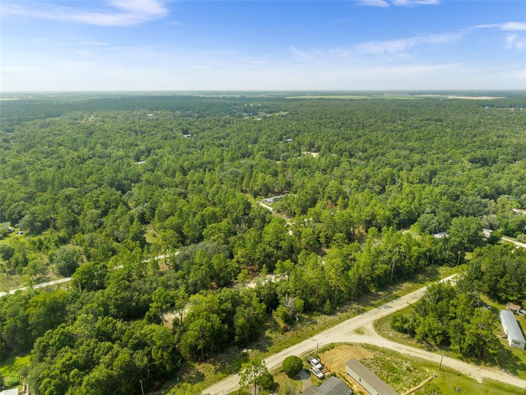An aerial view shows a rural property with a dirt road and dense forest — NE 156TH CT, WILLISTON, FL