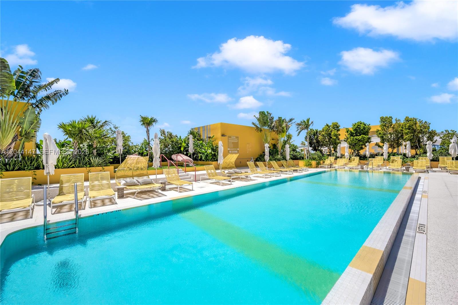 A rectangular swimming pool is surrounded by yellow lounge chairs and tropical landscaping — 90 NE 32nd, Miami FL 33127, MIAMI, FL