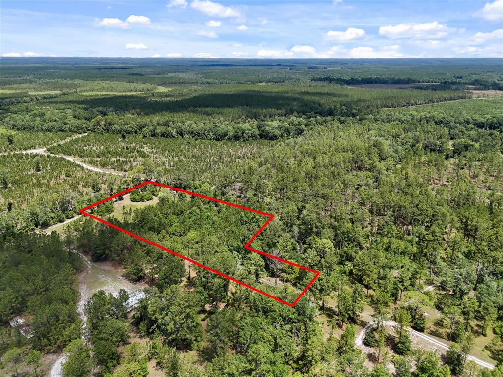 An aerial view shows a wooded plot of land outlined in red — 2309 NE 73RD AVENUE, GAINESVILLE, FL
