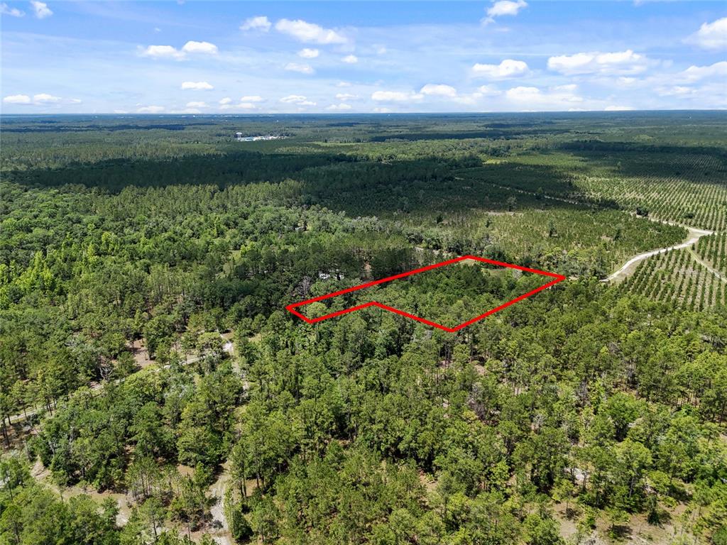 An aerial view shows a wooded plot of land outlined in red — 2309 NE 73RD AVENUE, GAINESVILLE, FL