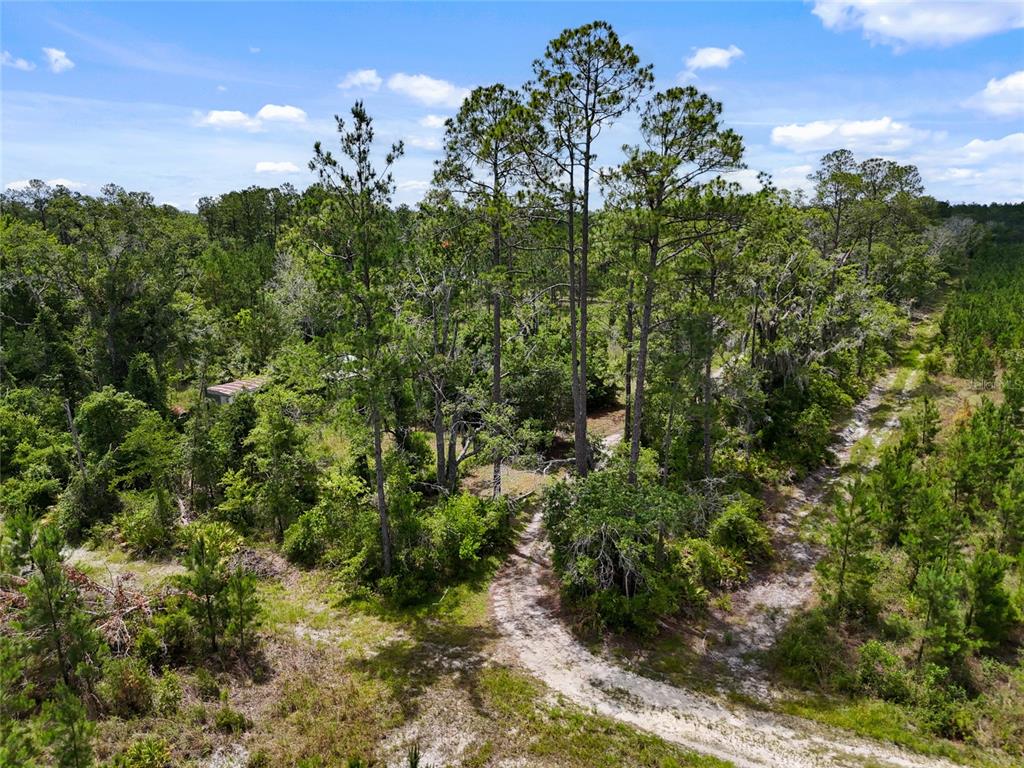 An aerial view shows a dirt path winding through a wooded lot with tall pine trees — 2309 NE 73RD AVENUE, GAINESVILLE, FL