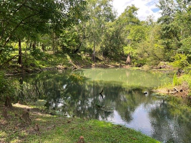 A small, calm pond surrounded by dense trees and lush green vegetation — 39849 STATE ROAD 575, DADE CITY, FL