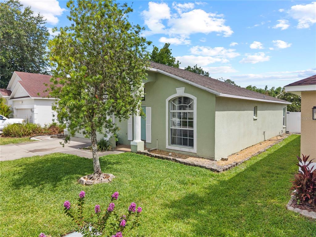 A light green single-story house features a front lawn, a tree, and an arched window — 25237 SEVEN RIVERS CIRCLE, LAND O LAKES, FL