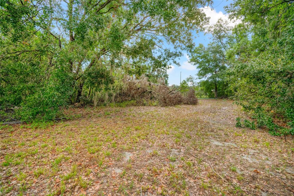 A wooded, undeveloped lot covered in dry leaves and scattered fallen branches — 3611 W REYNOLDS STREET UNIT 1/2, PLANT CITY, FL