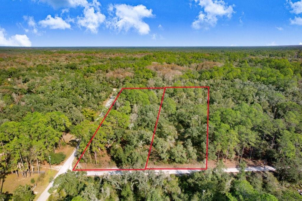 An aerial view shows two adjacent wooded lots outlined in red along a paved road — SONIA AVENUE, WEBSTER, FL
