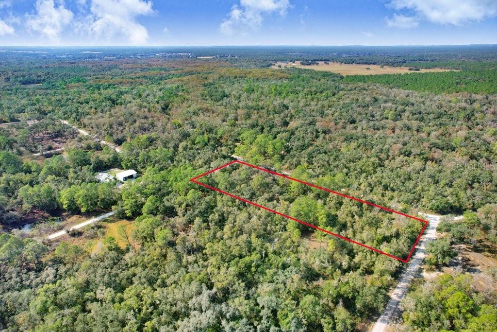 An aerial view shows a rectangular plot of land outlined in red amidst dense forest — SONIA AVENUE, WEBSTER, FL