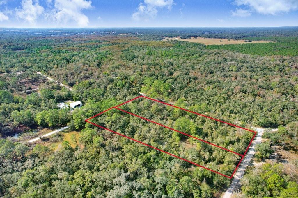 An aerial view shows two adjacent rectangular plots of land surrounded by dense forest — SONIA AVENUE, WEBSTER, FL