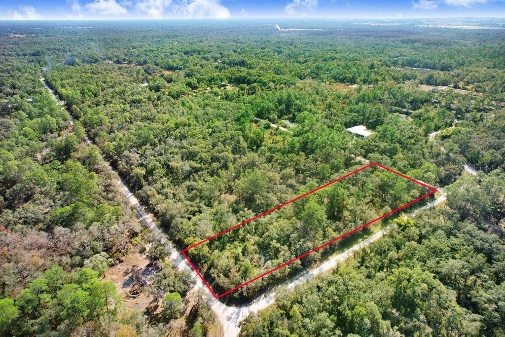 An aerial view shows a rectangular plot of land outlined in red amidst dense forest — SONIA AVENUE, WEBSTER, FL
