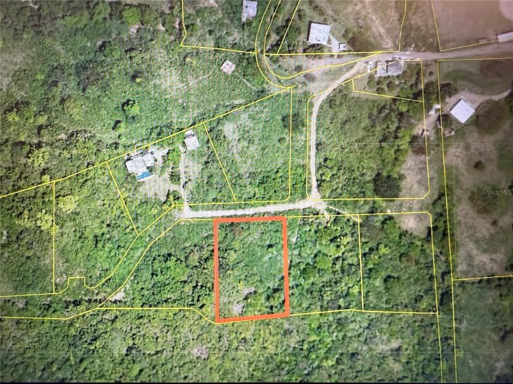 An aerial map view shows a rectangular plot of land outlined in orange — 3 WINDHORSE FARM, VIEQUES, PR