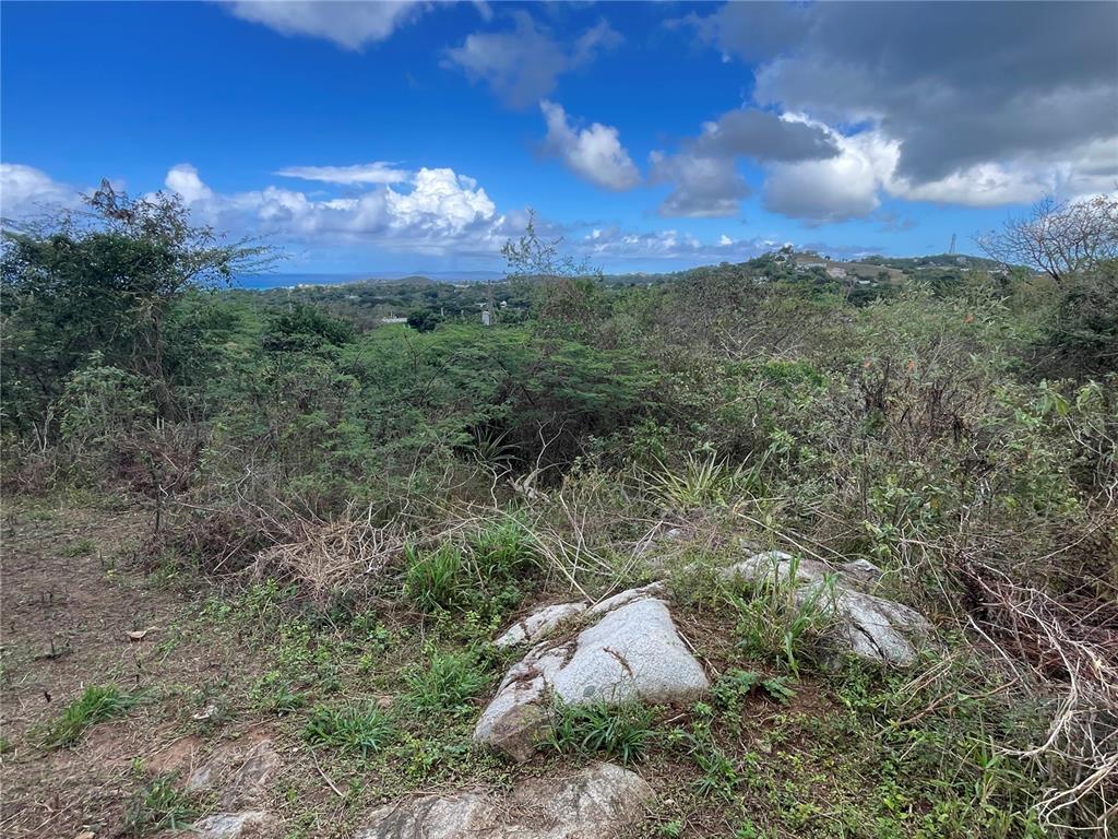 A view of a grassy, rocky hillside overlooking a landscape with distant ocean water — 3 WINDHORSE FARM, VIEQUES, PR