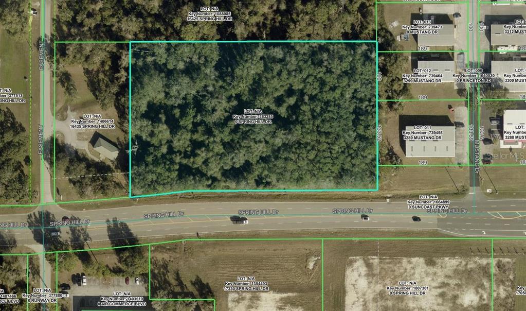 This is an aerial map showing a wooded lot outlined in blue near a road — 00 SPRING HILL DRIVE, BROOKSVILLE, FL
