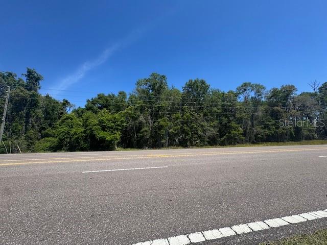 A paved road runs in front of a dense line of trees under a blue sky — 00 SPRING HILL DRIVE, BROOKSVILLE, FL