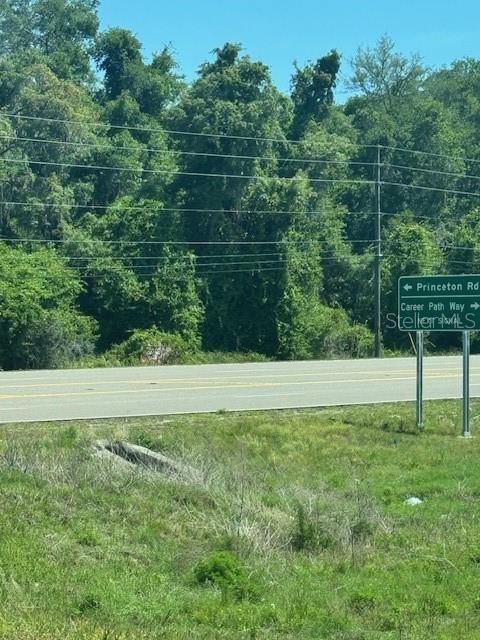 A road sign points toward Princeton Road and Career Path Way near a wooded area — 00 SPRING HILL DRIVE, BROOKSVILLE, FL
