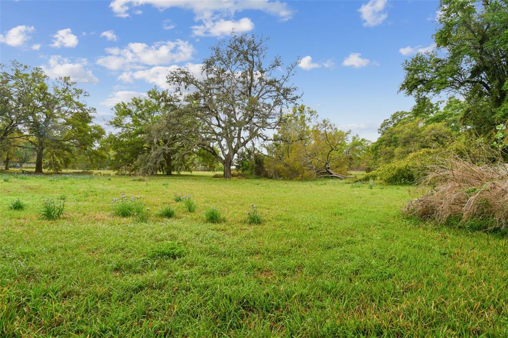 S TAYLOR ROAD, SEFFNER, FL — photo 5 of 29