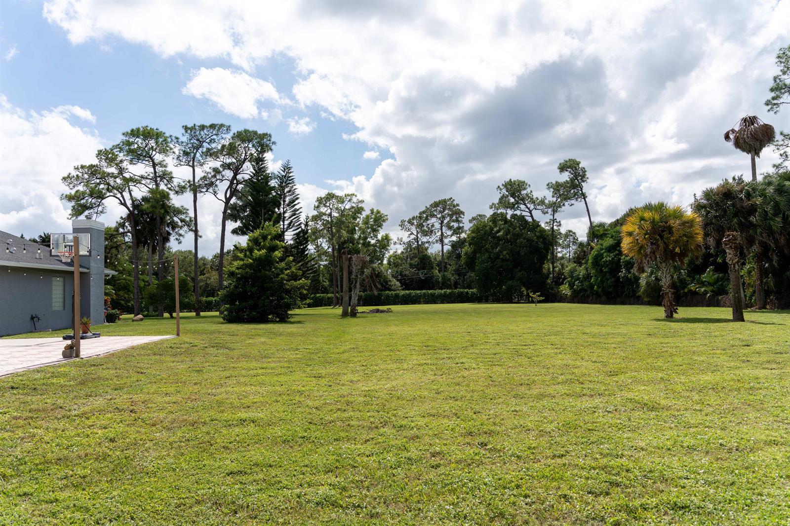 A large, grassy backyard features a basketball hoop on a patio and surrounding trees — 14279 43rd Road N, FL 33470, FL
