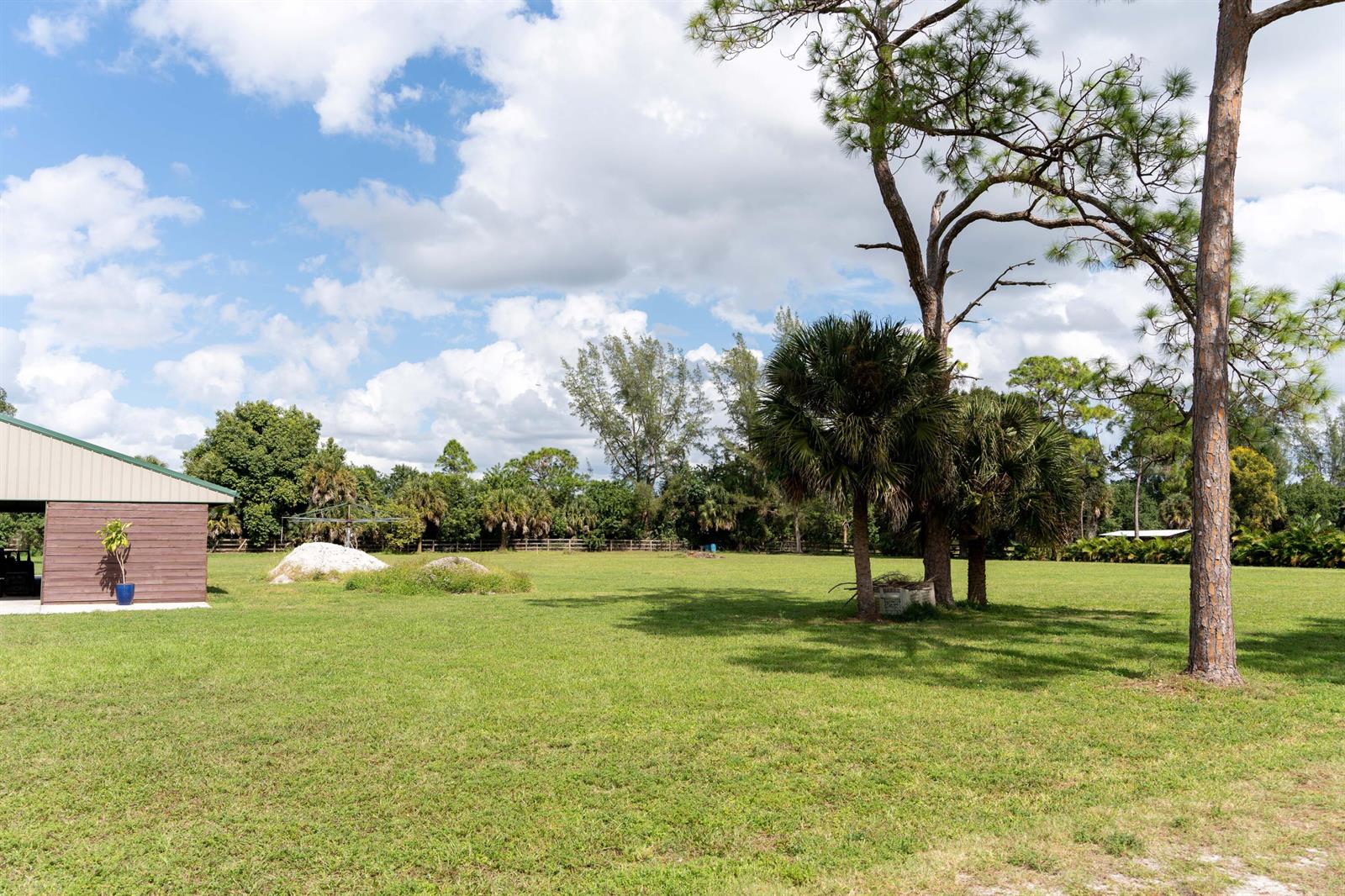 A grassy field features a brown barn, several palm trees, and tall pine trees — 14279 43rd Road N, FL 33470, FL