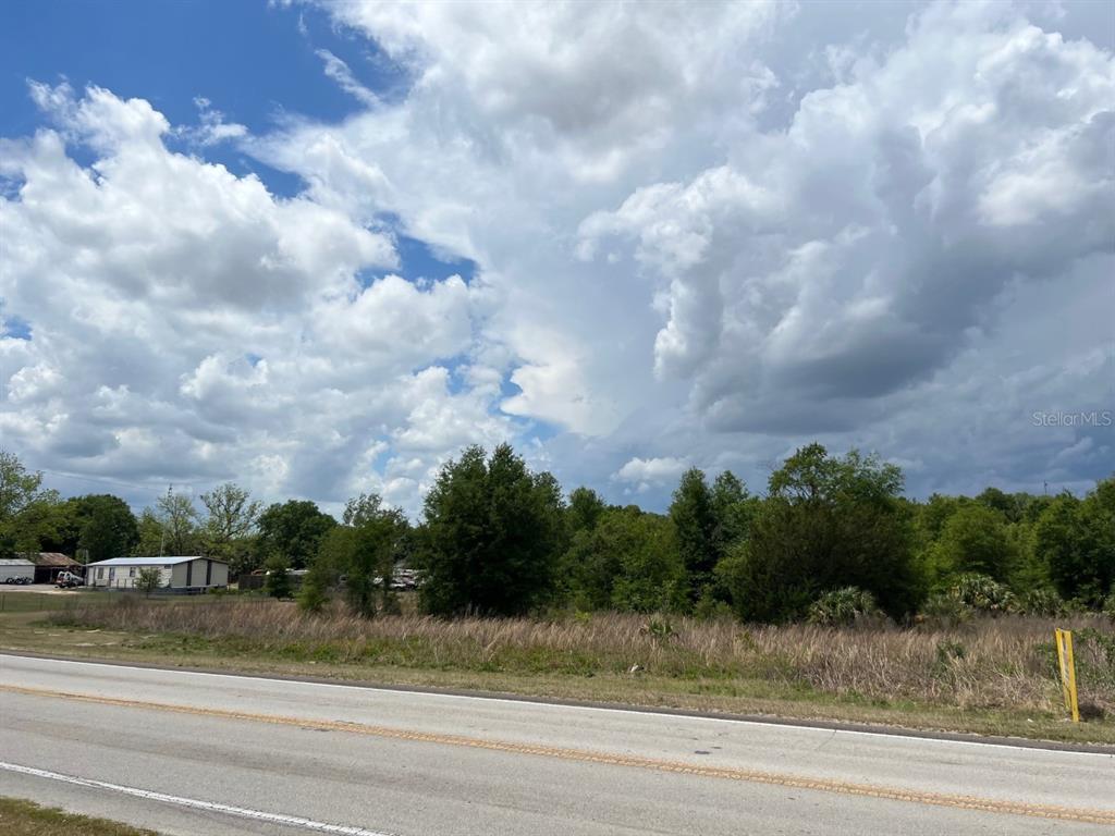 S HWY 25, WEIRSDALE, FL — photo 3 of 8