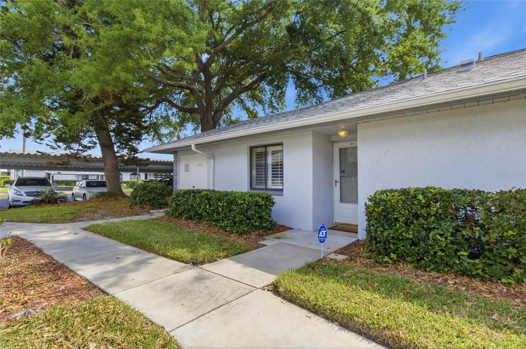 A single-story white stucco building with a front walkway, landscaping, and a large tree — 2701 COUNTRYSIDE BOULEVARD UNIT 101, CLEARWATER, FL